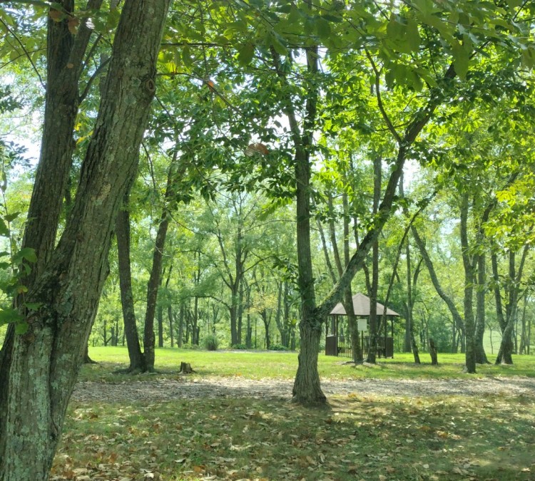 chestnut-grove-park-photo
